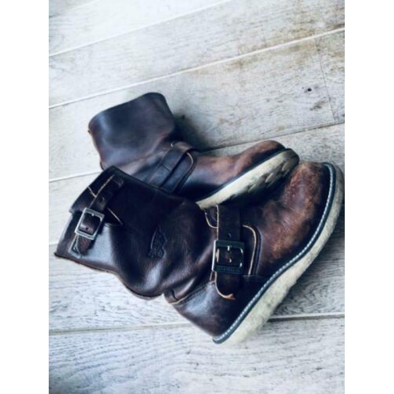 Red Wings maat 38