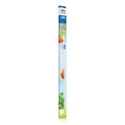 LED verlichting voor aquarium (rio 180)