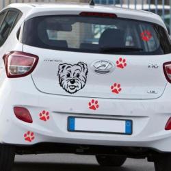 shih tzu - auto sticker Uniquewinkel