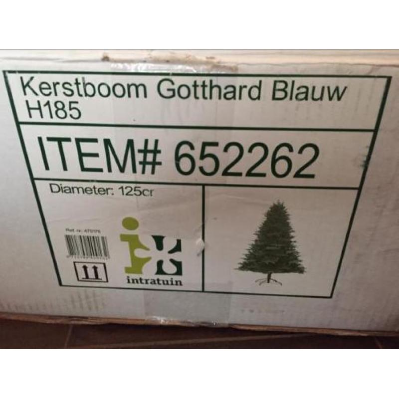 Hele mooie Intratuin Gotthard kerstboom blauw 185 cm!!