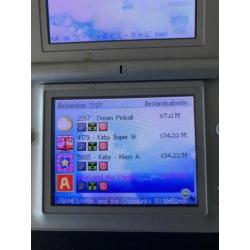 Nintendo DS Silver Lite met gamecard